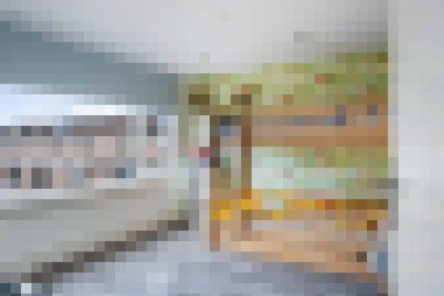 De Linde 12 Ouderkerk aan den IJssel thumbnail 30
