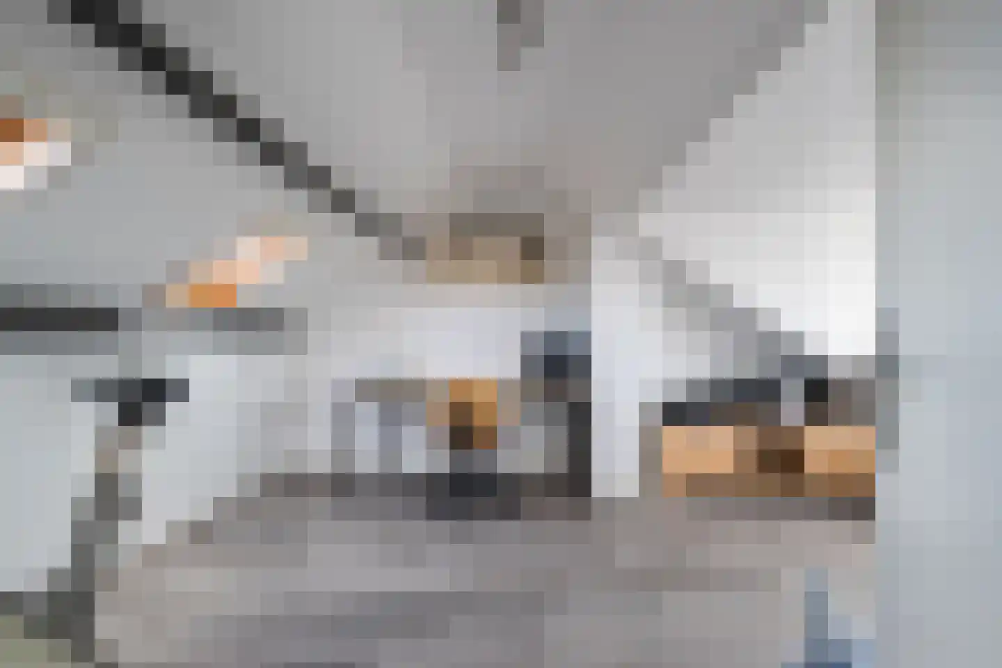 De Linde 12 Ouderkerk aan den IJssel thumbnail 37