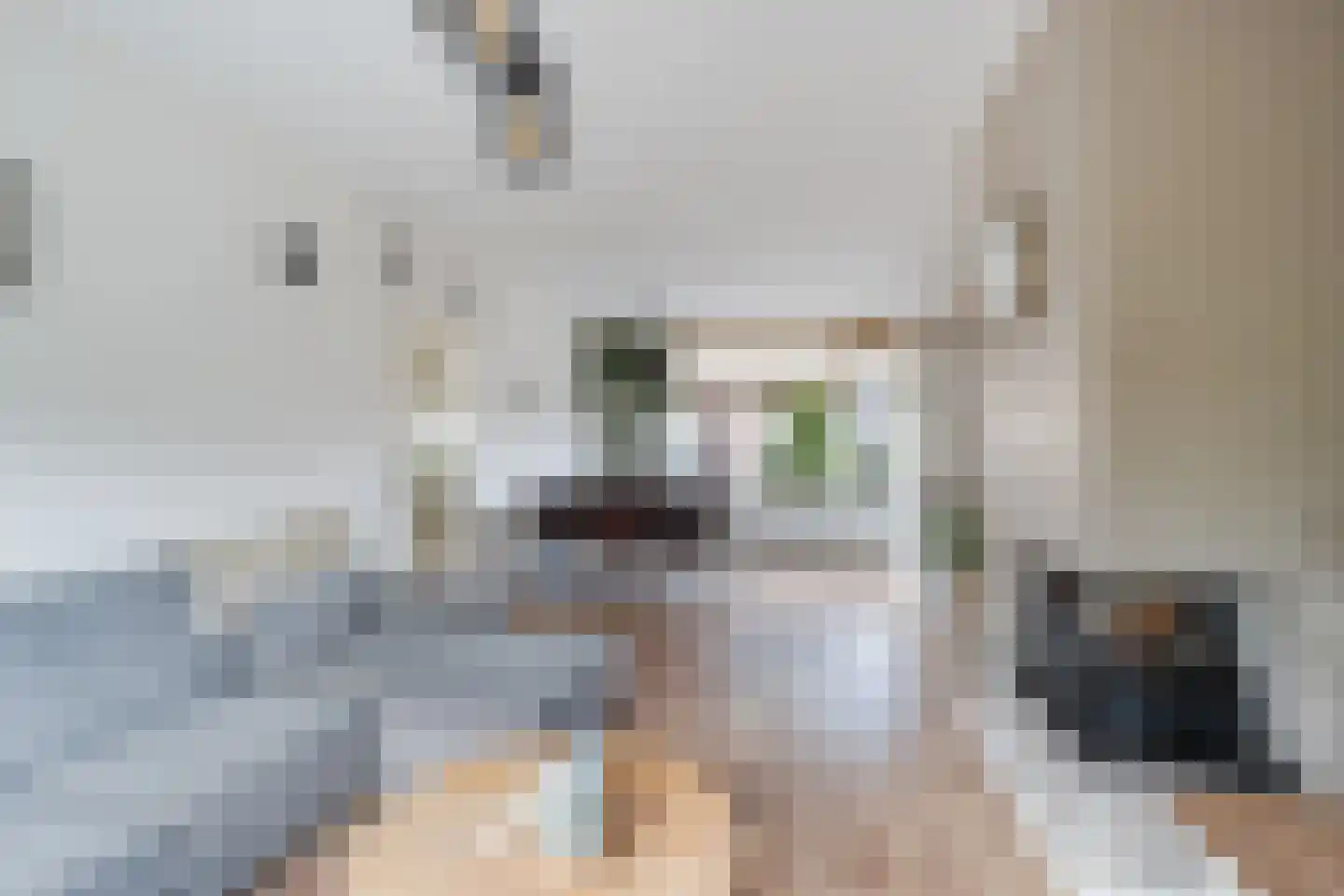 De Linde 12 Ouderkerk aan den IJssel thumbnail 4