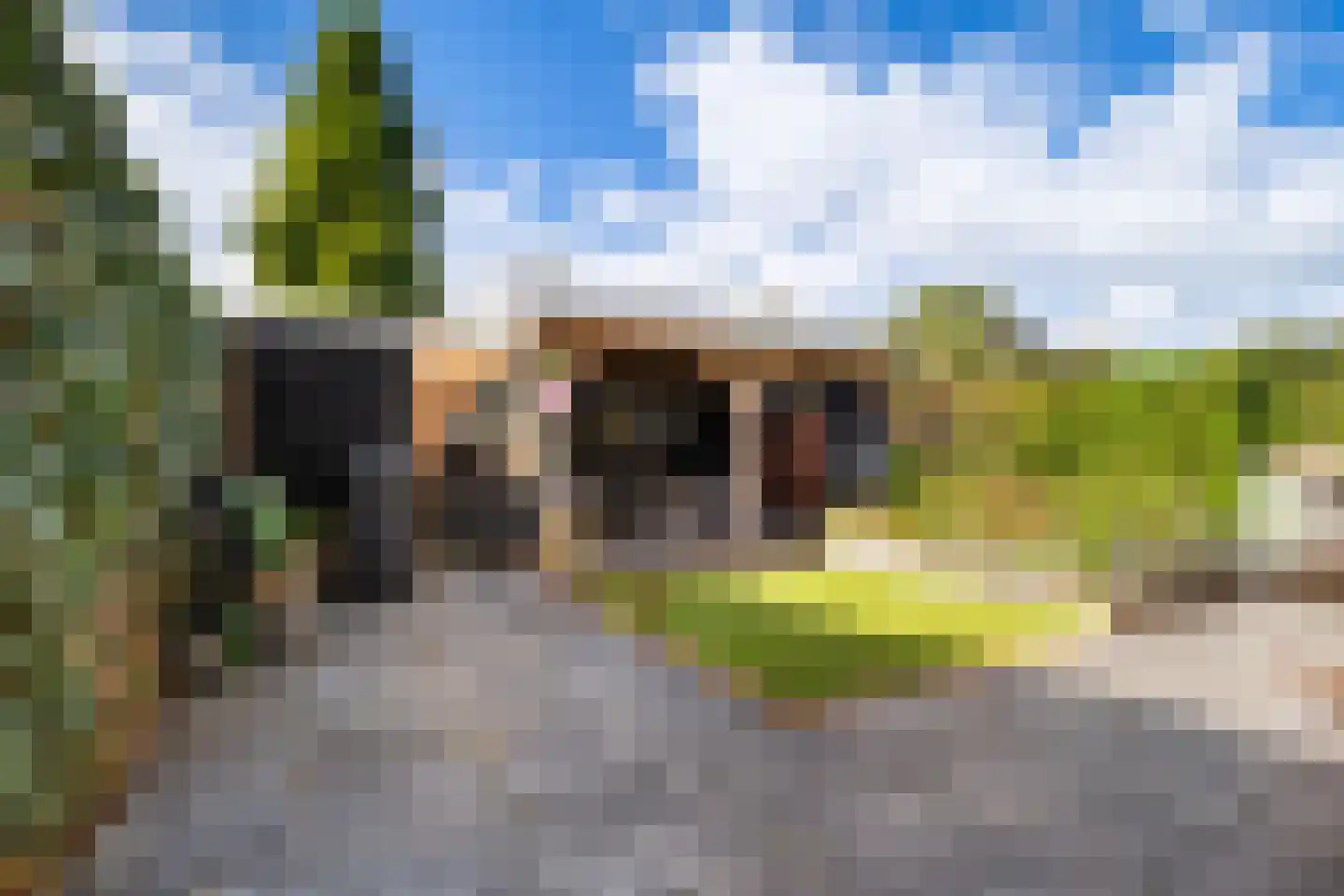 De Linde 12 Ouderkerk aan den IJssel thumbnail 6