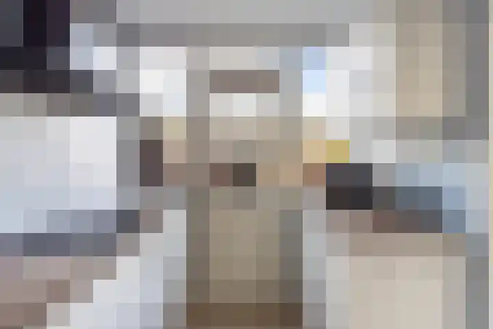 De Linde 18 Ouderkerk aan den IJssel thumbnail 10