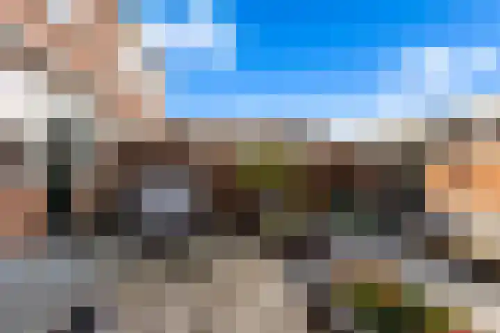 De Linde 18 Ouderkerk aan den IJssel thumbnail 11