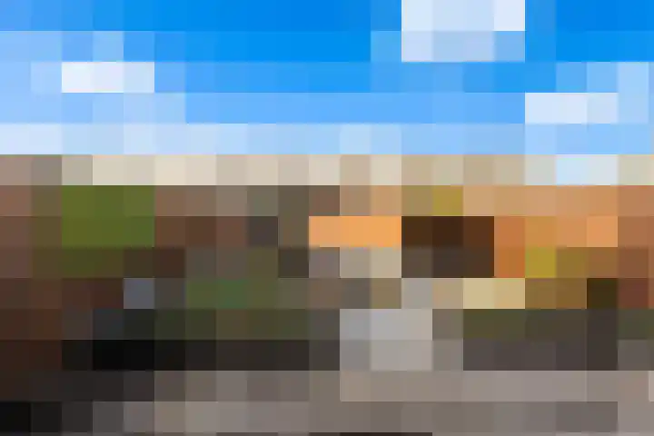De Linde 18 Ouderkerk aan den IJssel thumbnail 12