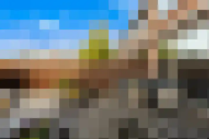 De Linde 18 Ouderkerk aan den IJssel thumbnail 13