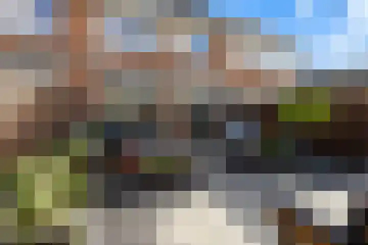 De Linde 18 Ouderkerk aan den IJssel thumbnail 14
