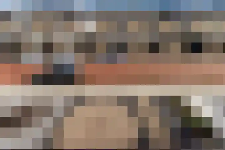De Linde 18 Ouderkerk aan den IJssel thumbnail 24