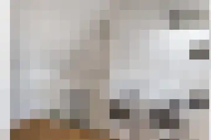 De Linde 18 Ouderkerk aan den IJssel thumbnail 36