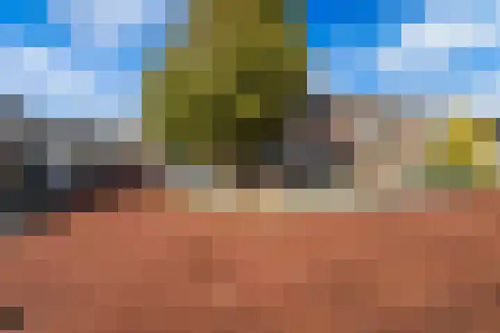 De Linde 18 Ouderkerk aan den IJssel thumbnail 40