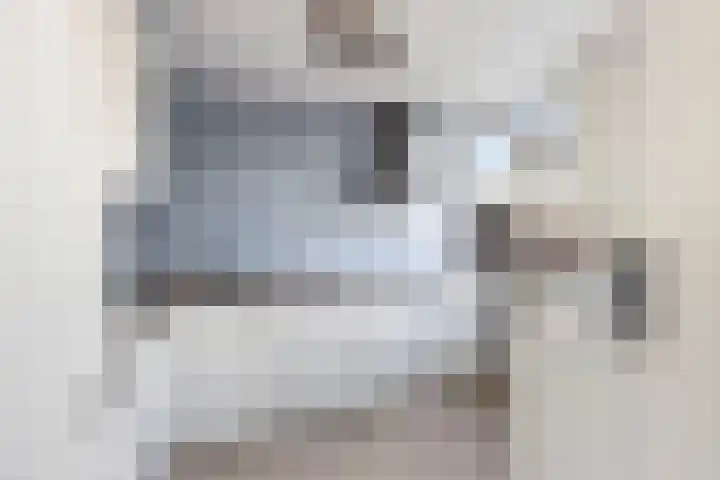 De Linde 18 Ouderkerk aan den IJssel thumbnail 9