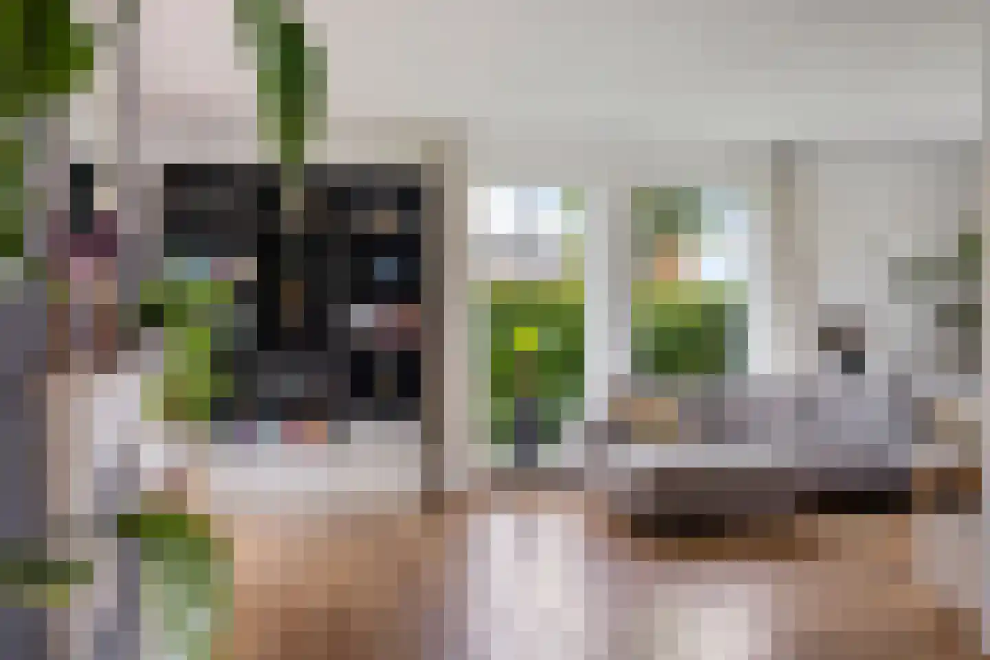 De Linde 2 Leeuwarden thumbnail 11