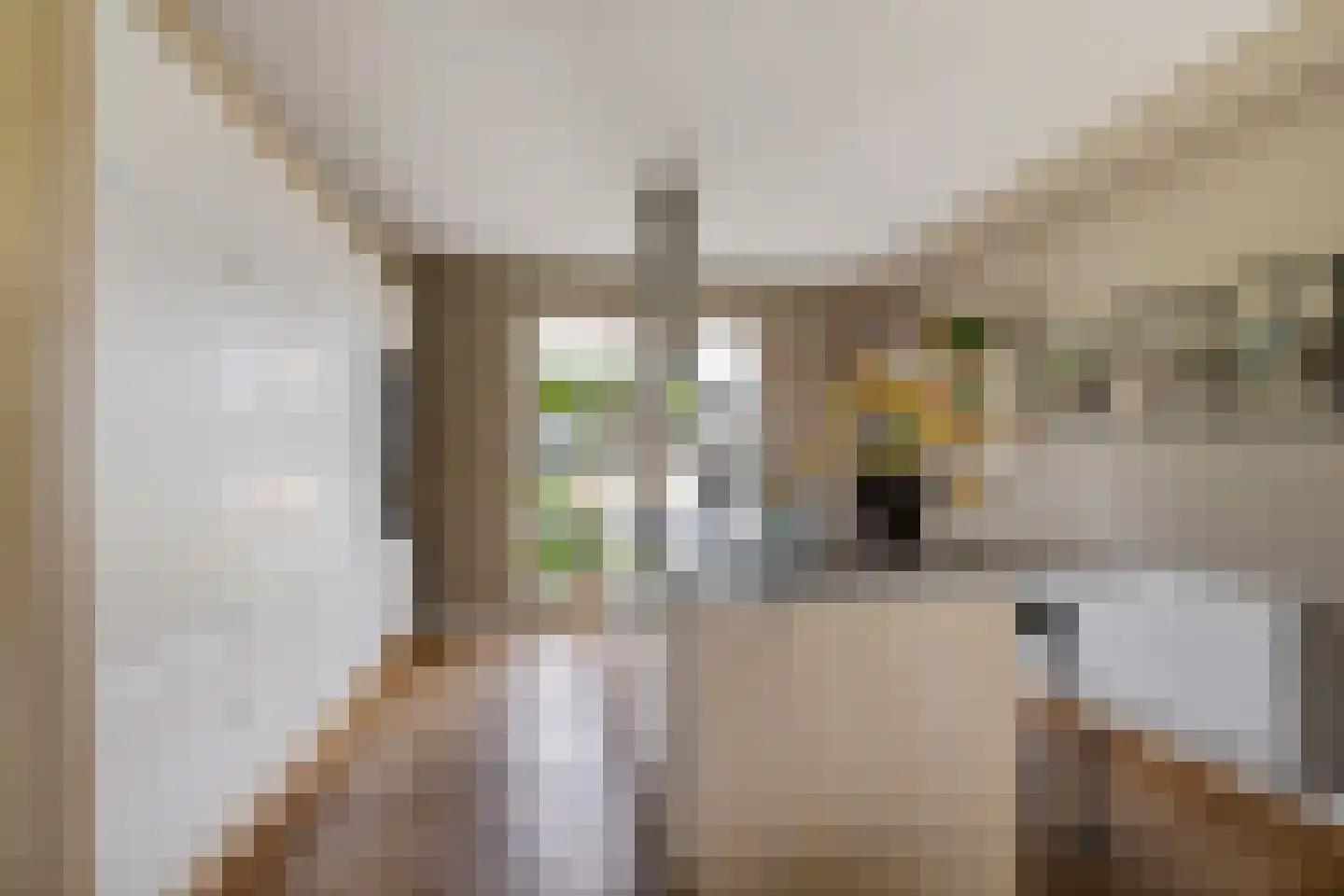 De Linde 2 Leeuwarden thumbnail 13