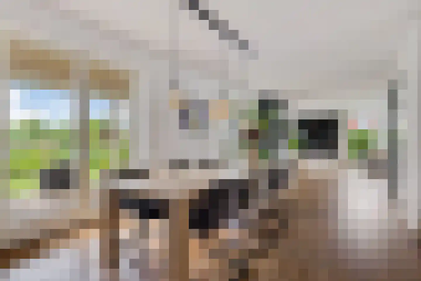 De Linde 2 Leeuwarden thumbnail 16
