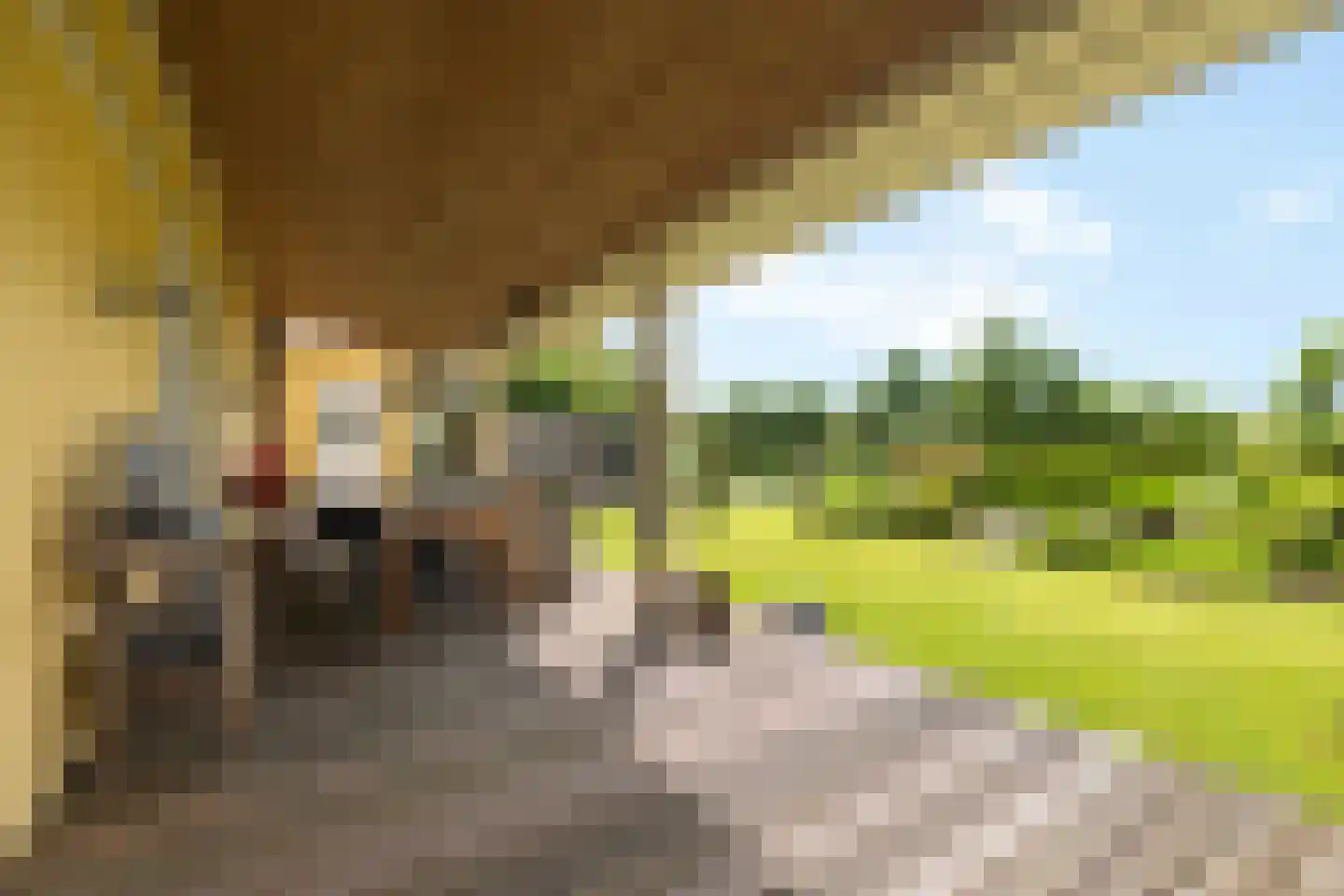 De Linde 2 Leeuwarden thumbnail 22