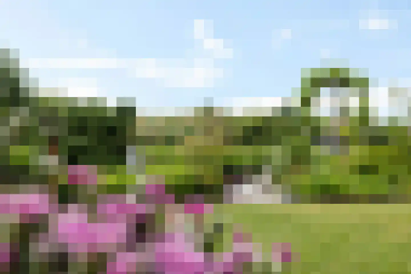 De Linde 2 Leeuwarden thumbnail 27