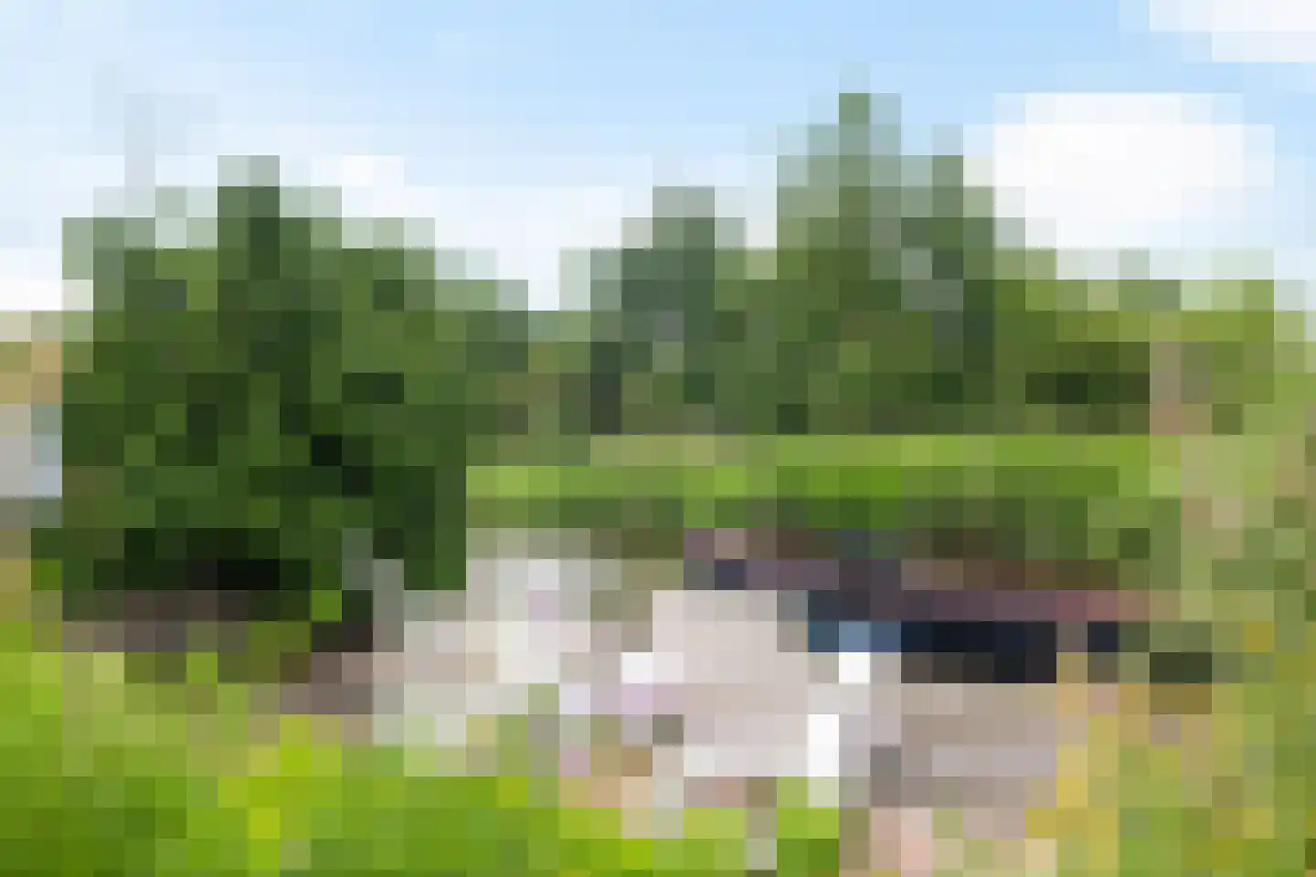 De Linde 2 Leeuwarden thumbnail 28