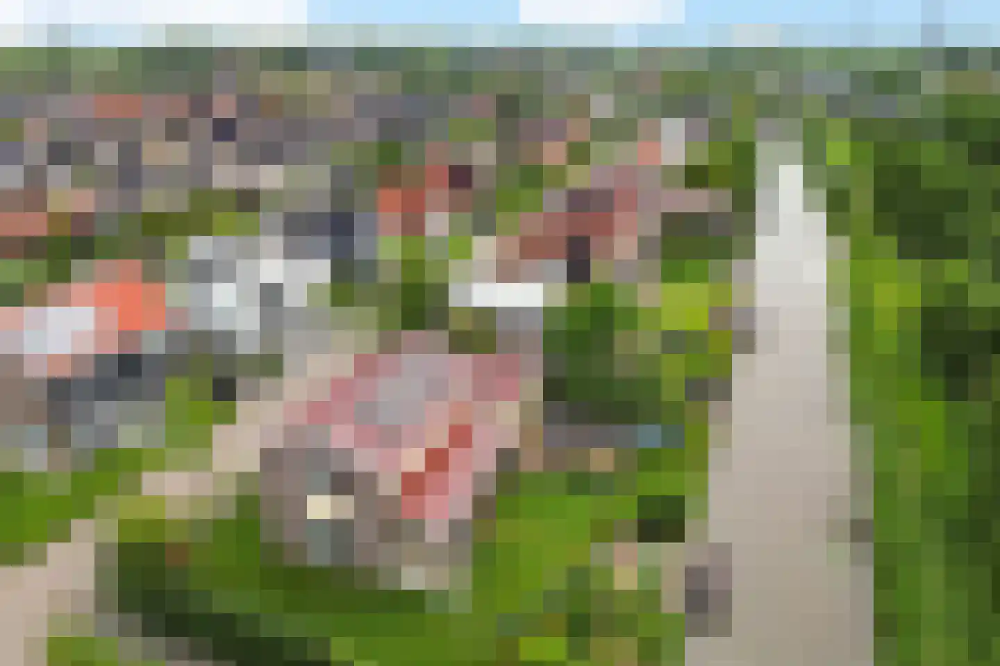De Linde 2 Leeuwarden thumbnail 32