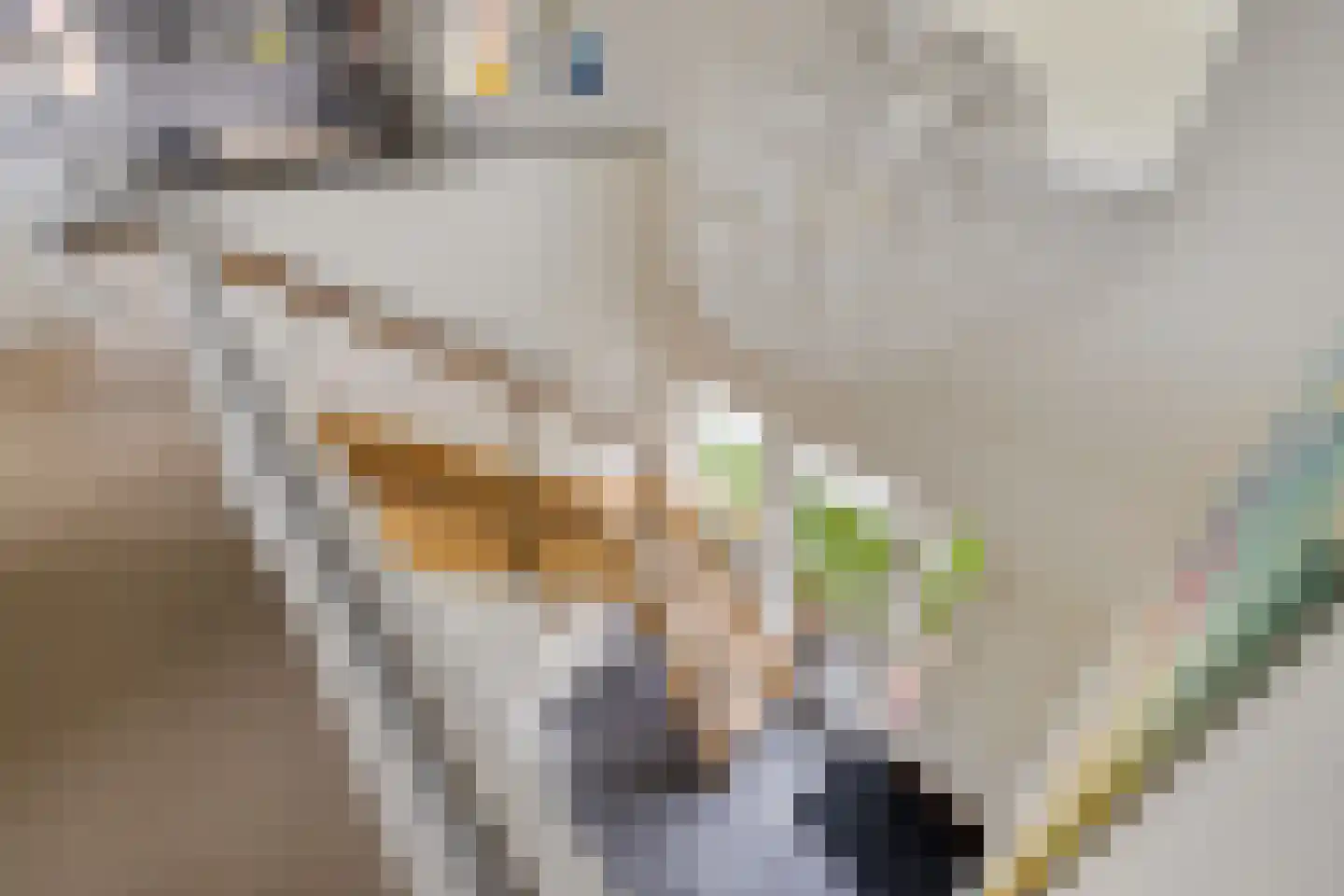 De Linde 2 Leeuwarden thumbnail 37