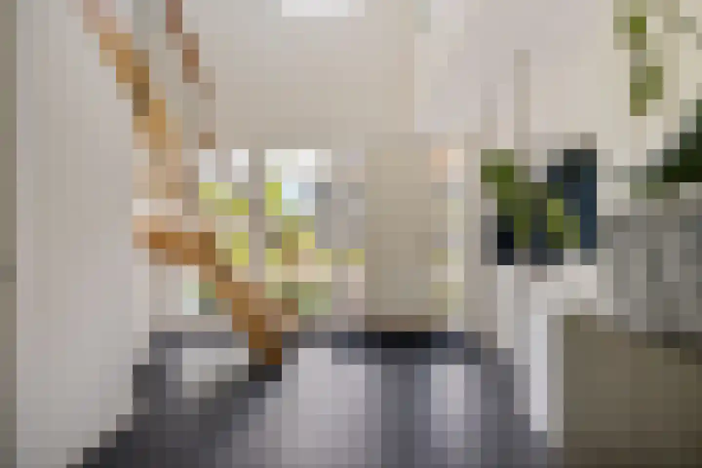 De Linde 2 Leeuwarden thumbnail 5