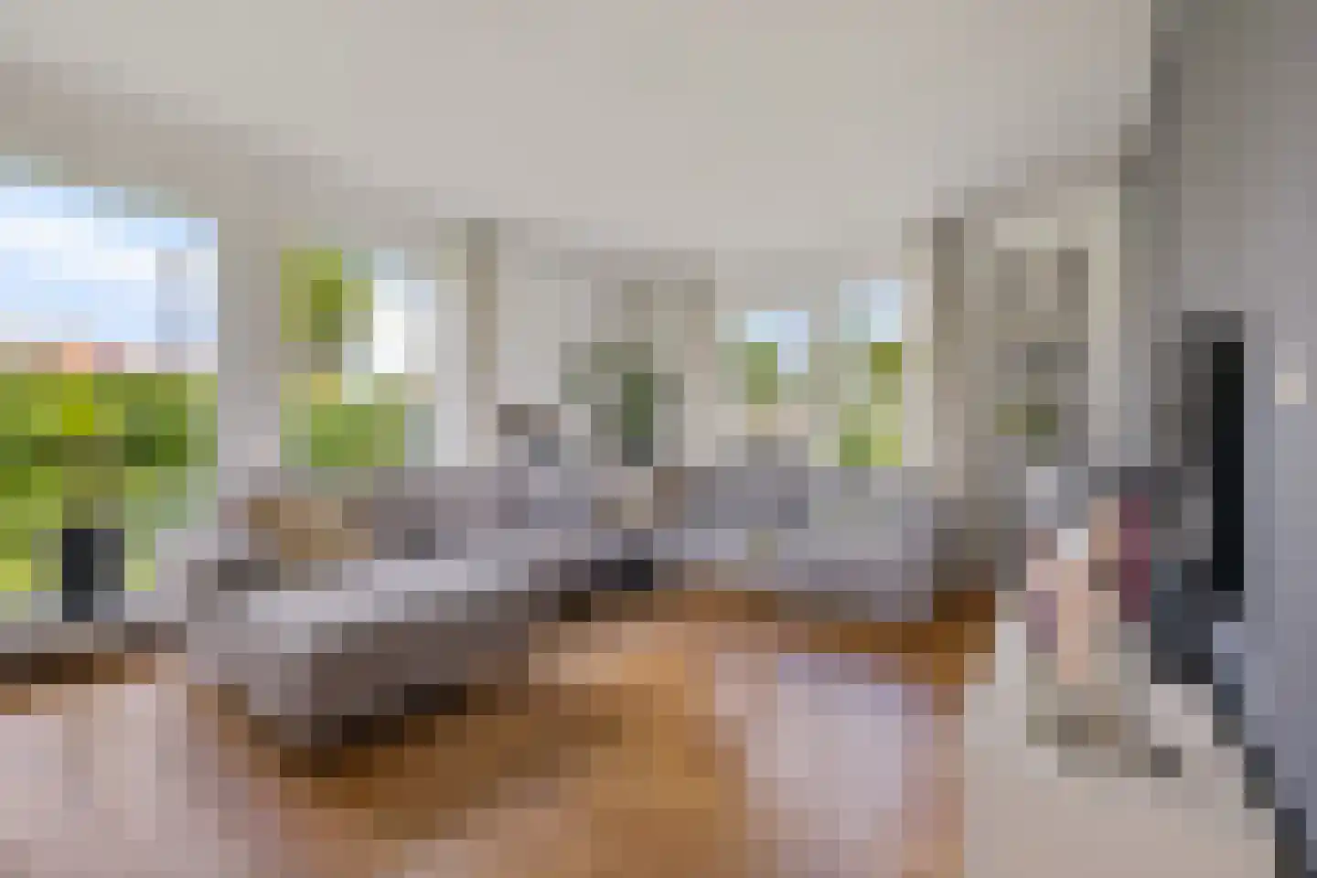 De Linde 2 Leeuwarden thumbnail 8