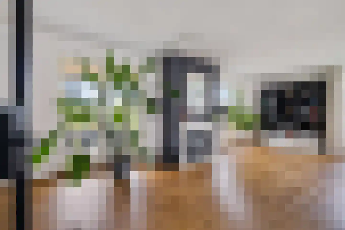 De Linde 2 Leeuwarden thumbnail 9