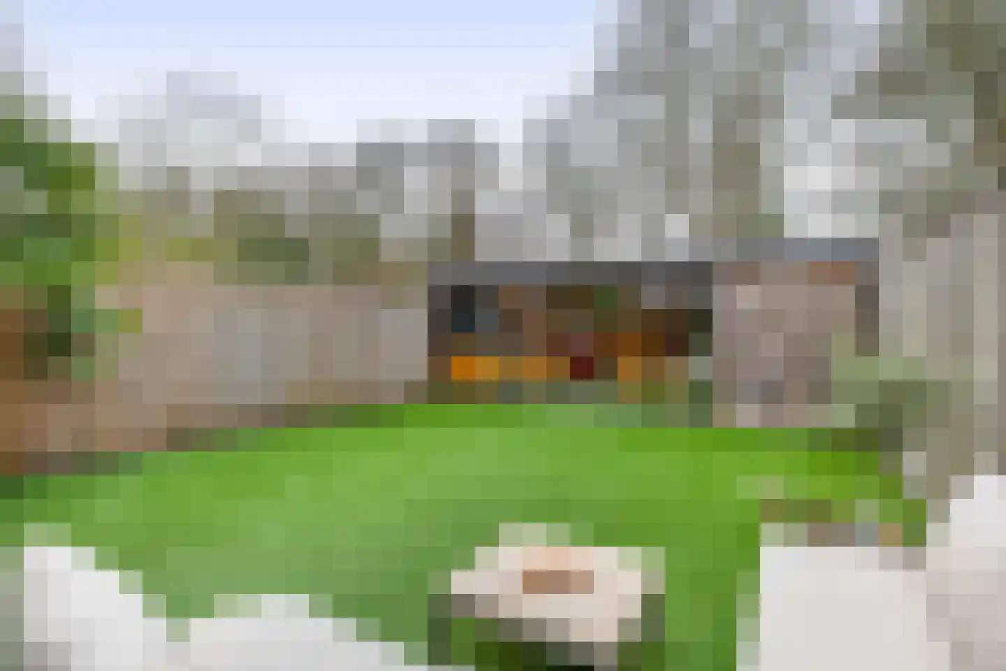 de Linde 28 Hellevoetsluis thumbnail 20