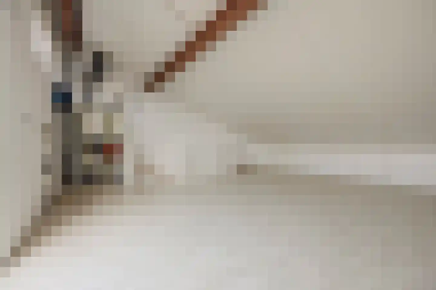 De Linde 4 Rozenburg thumbnail 22