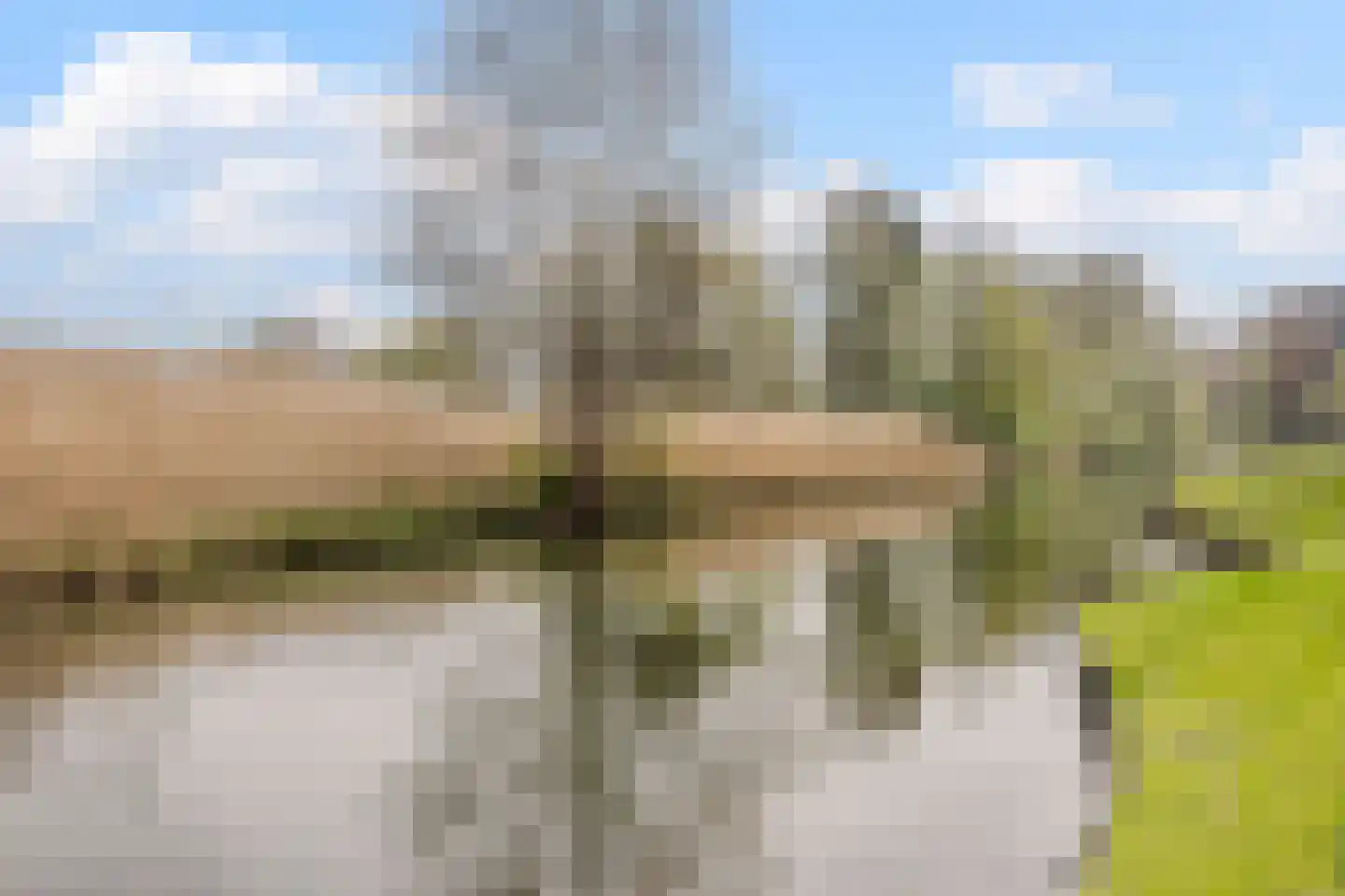 De Linde 4 Rozenburg thumbnail 30