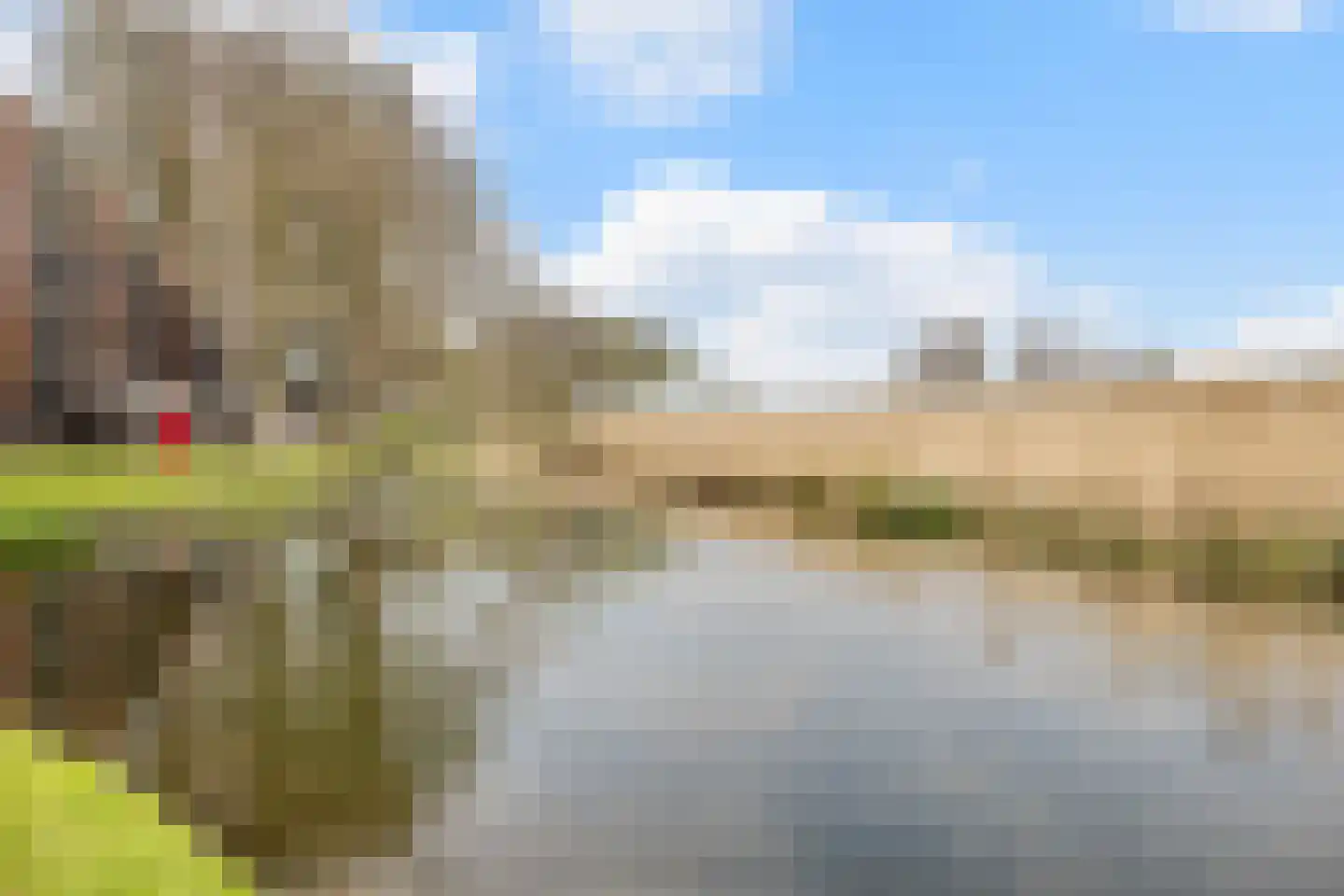 De Linde 4 Rozenburg thumbnail 31