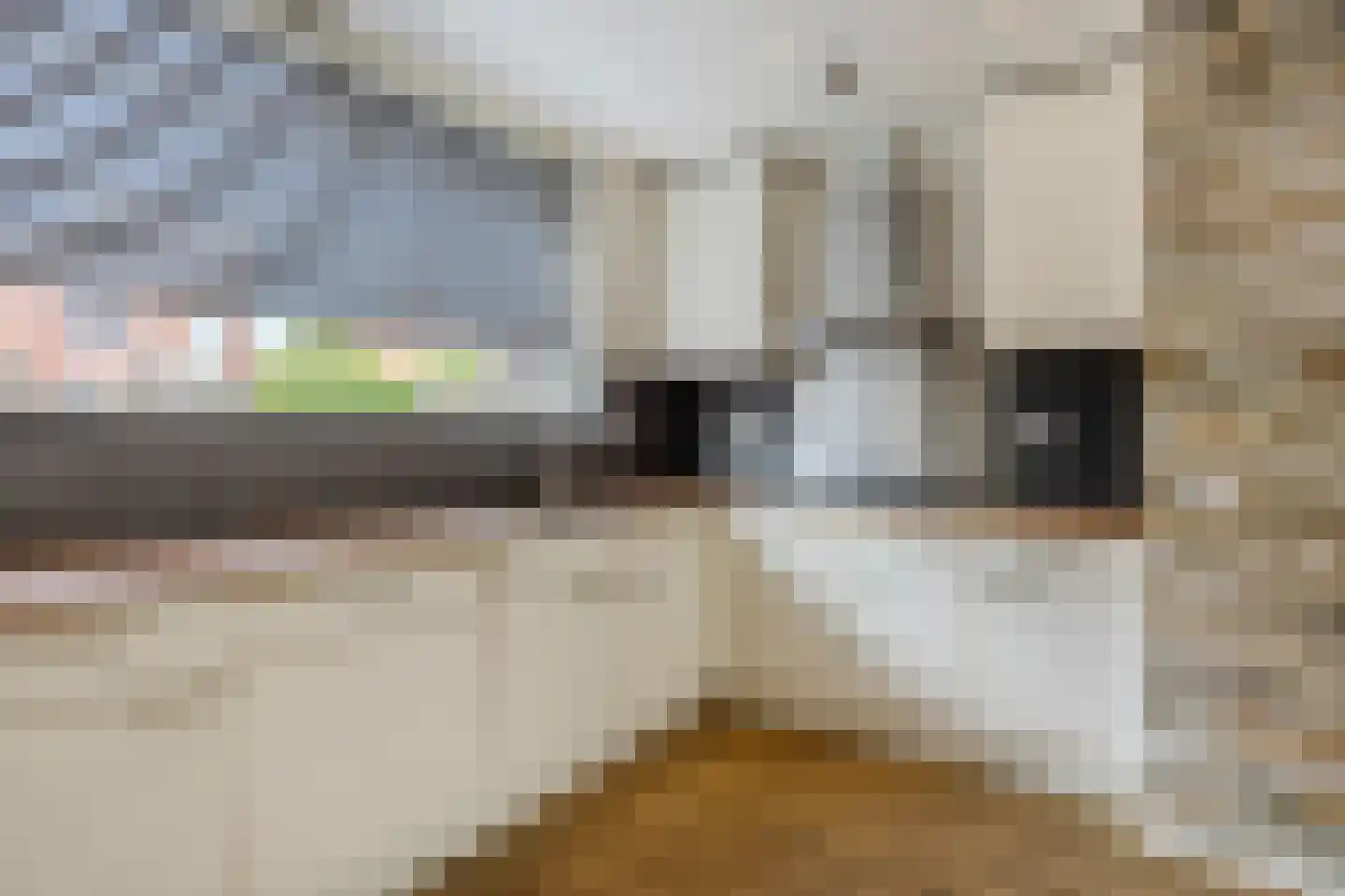 De Linde 4 Rozenburg thumbnail 9