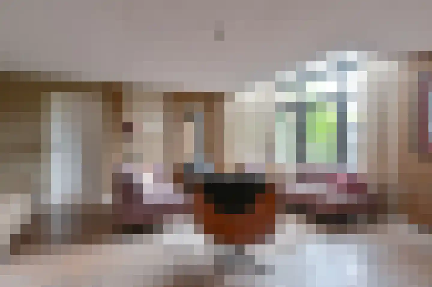 De Linden 24 Valthe thumbnail 11
