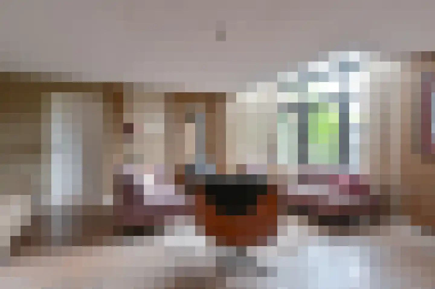 De Linden 24 Valthe thumbnail 12