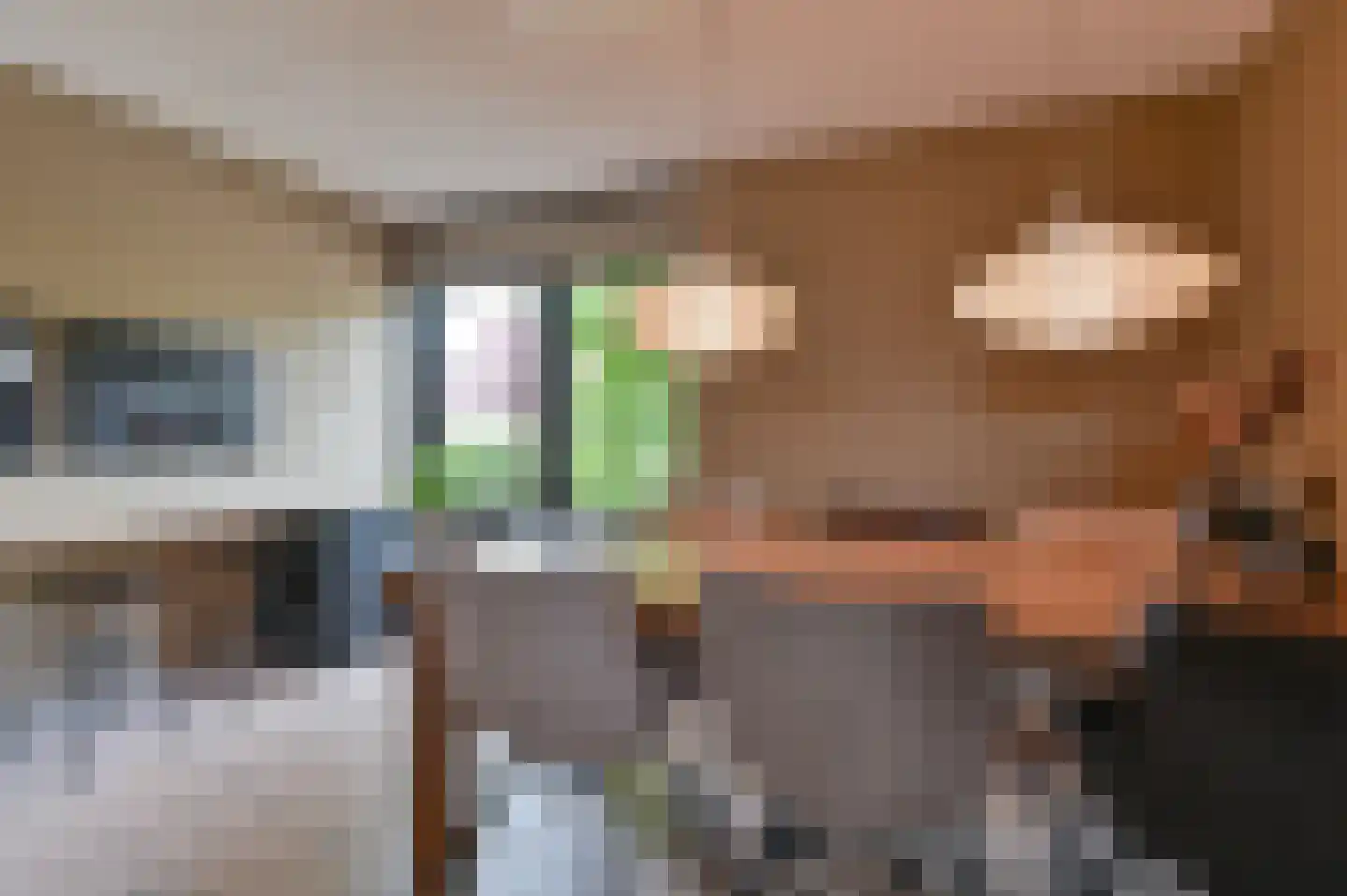 De Linden 24 Valthe thumbnail 26