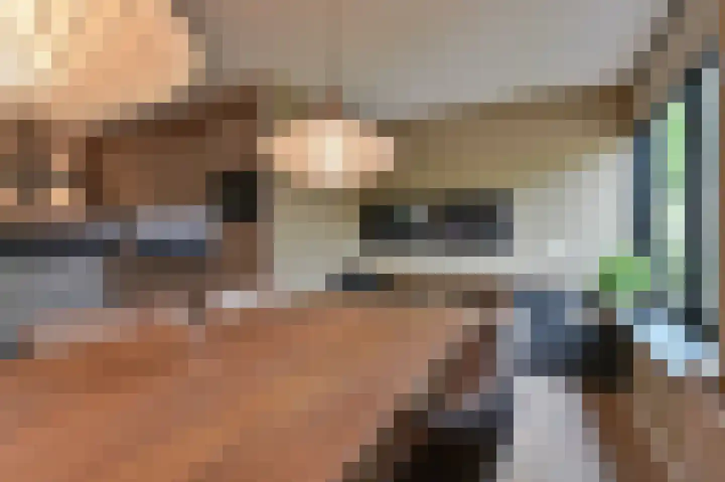 De Linden 24 Valthe thumbnail 30