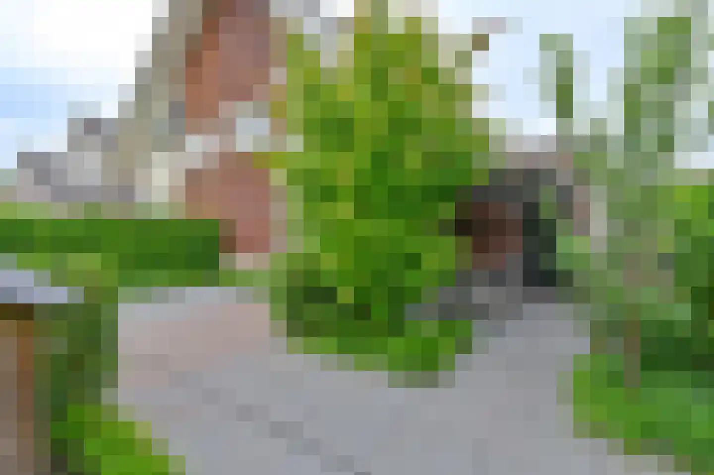 De Linden 24 Valthe thumbnail 4