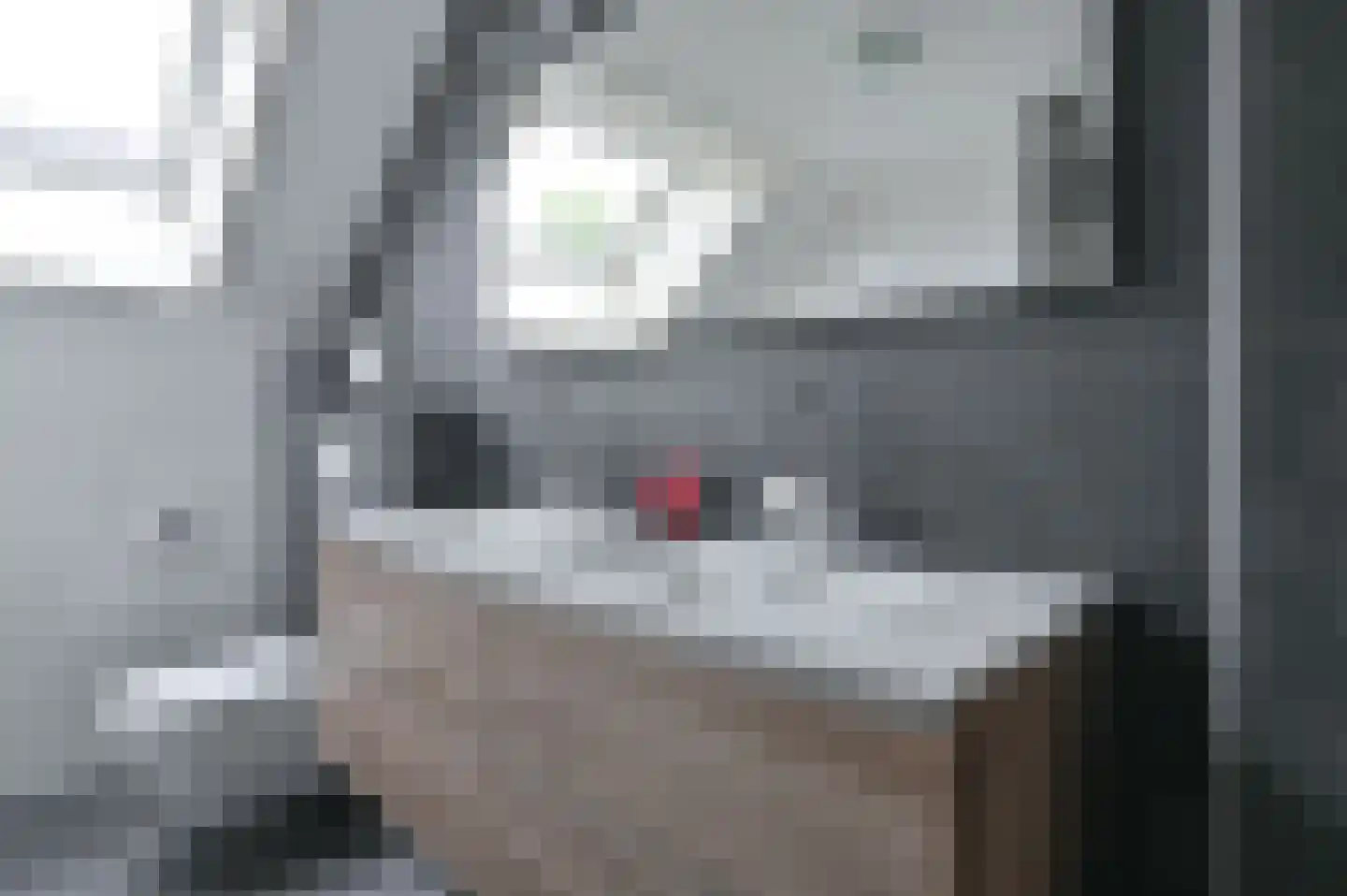 De Linden 24 Valthe thumbnail 43