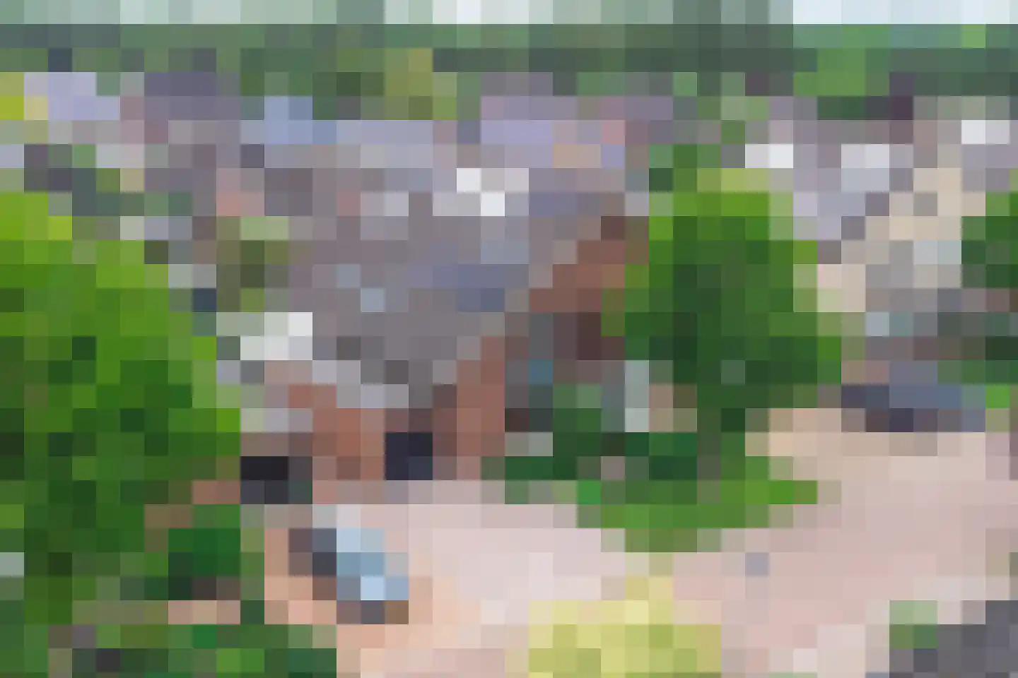De Linden 24 Valthe thumbnail 5