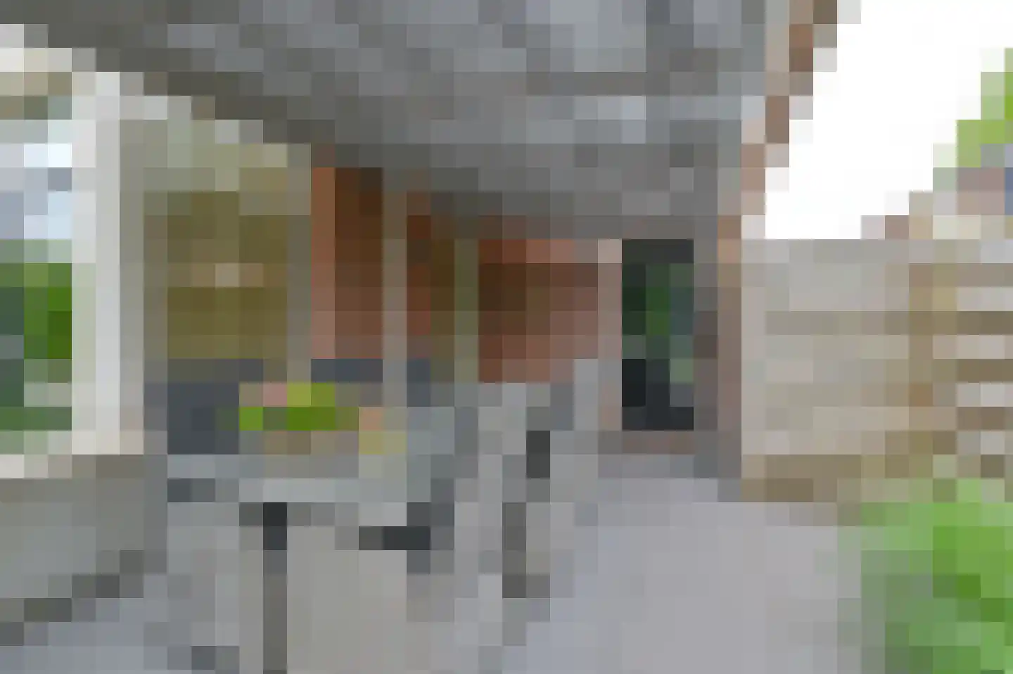 De Linden 24 Valthe thumbnail 70