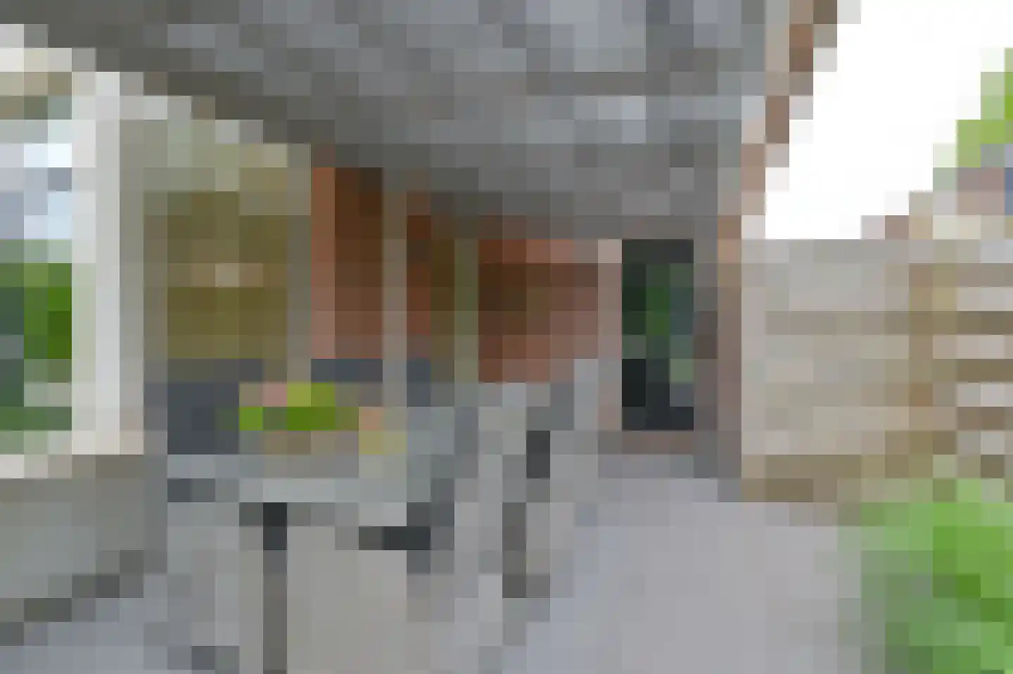 De Linden 24 Valthe thumbnail 70
