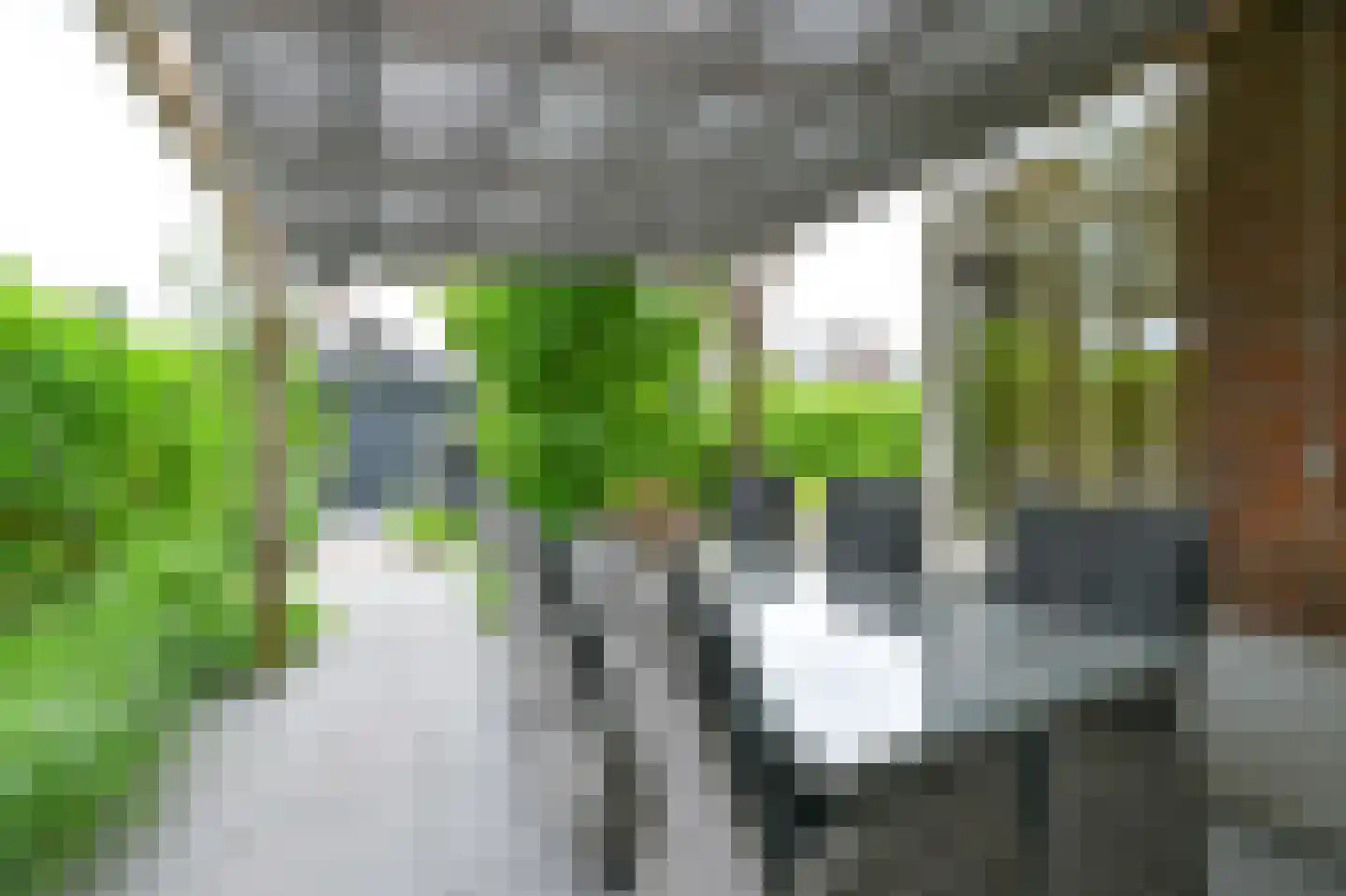 De Linden 24 Valthe thumbnail 72