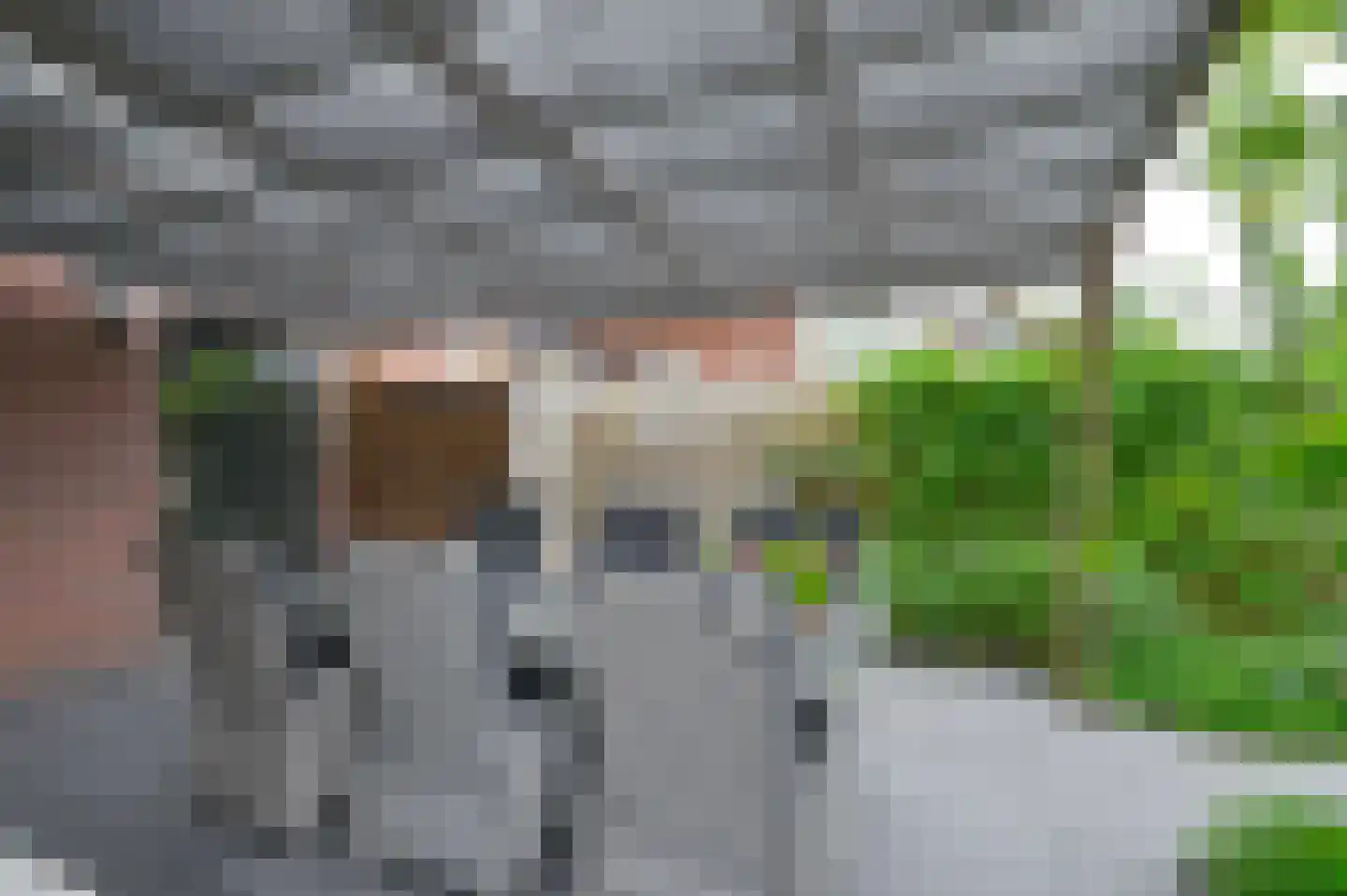 De Linden 24 Valthe thumbnail 79