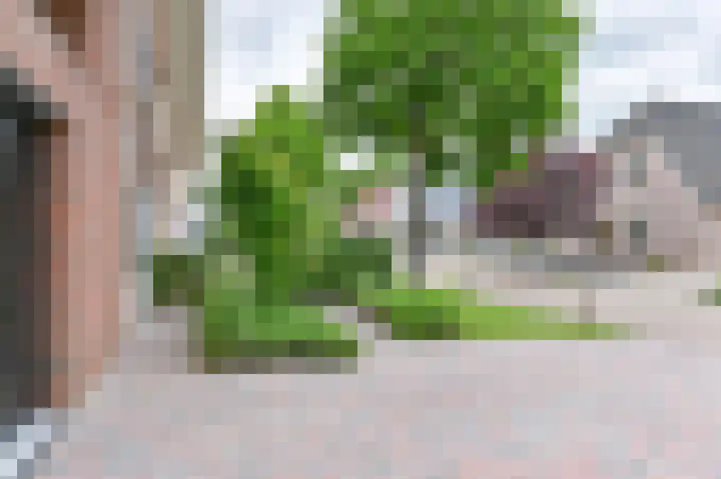 De Linden 24 Valthe thumbnail 79