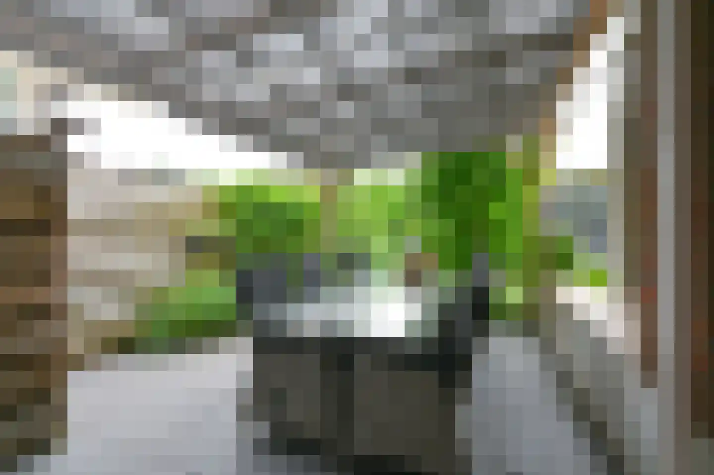 De Linden 24 Valthe thumbnail 80
