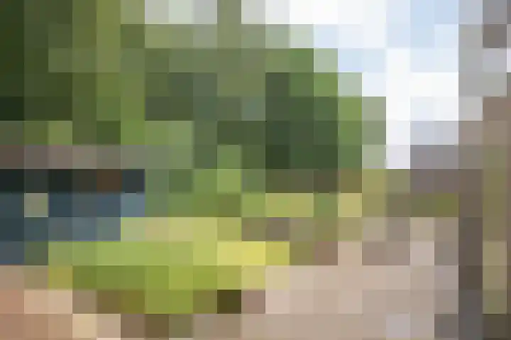 De Linden 43 Valthe thumbnail 27