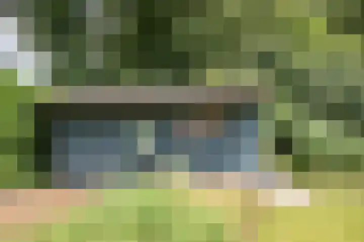 De Linden 43 Valthe thumbnail 33