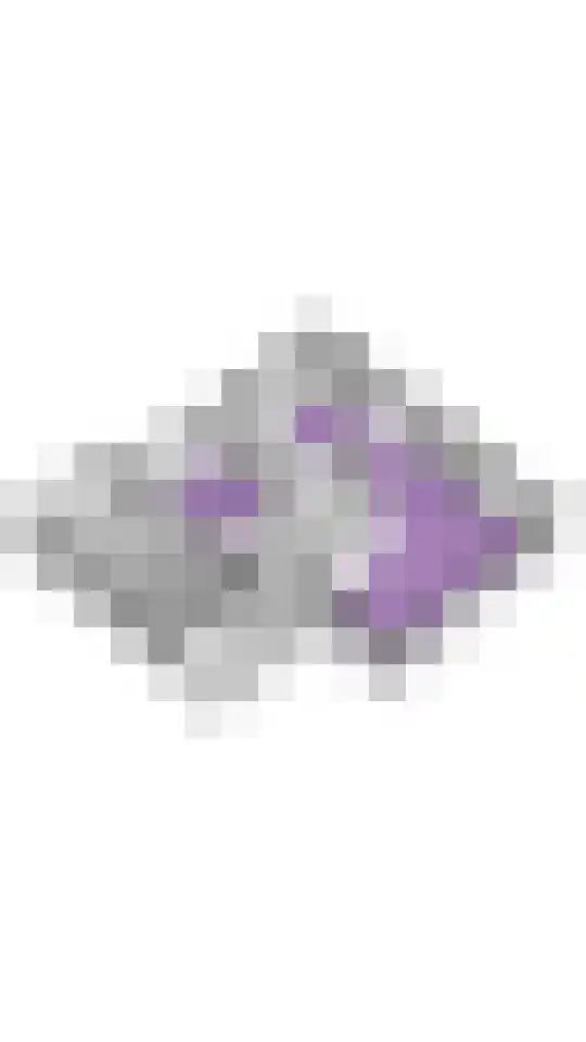 De Linden 43 Valthe thumbnail 37