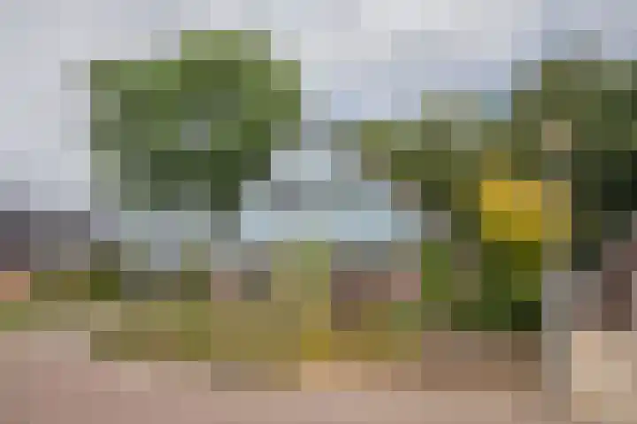 De Linden 43 Valthe thumbnail 5
