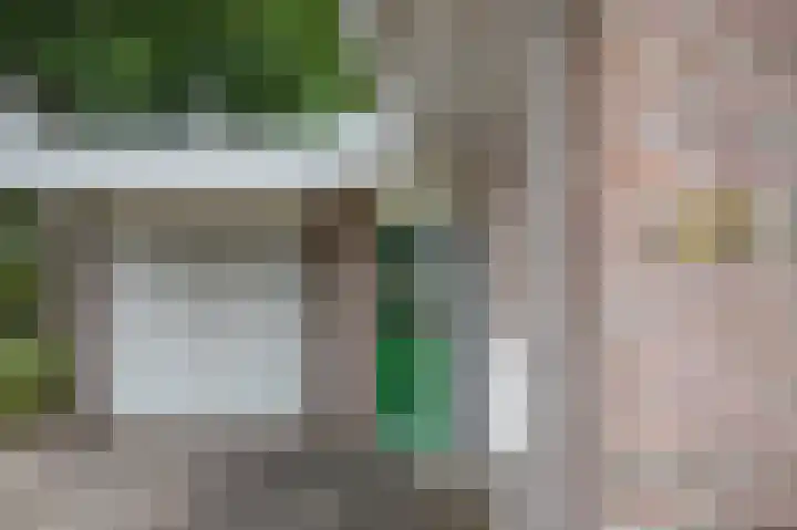 De Linden 43 Valthe thumbnail 6