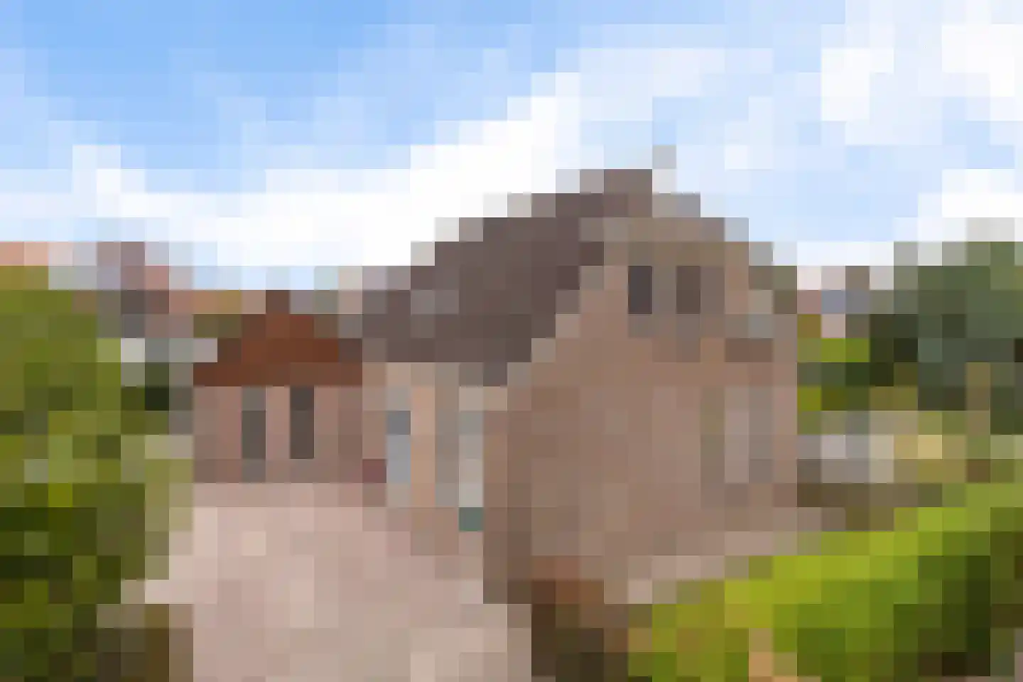 de Linden 6 Wagenborgen thumbnail 11