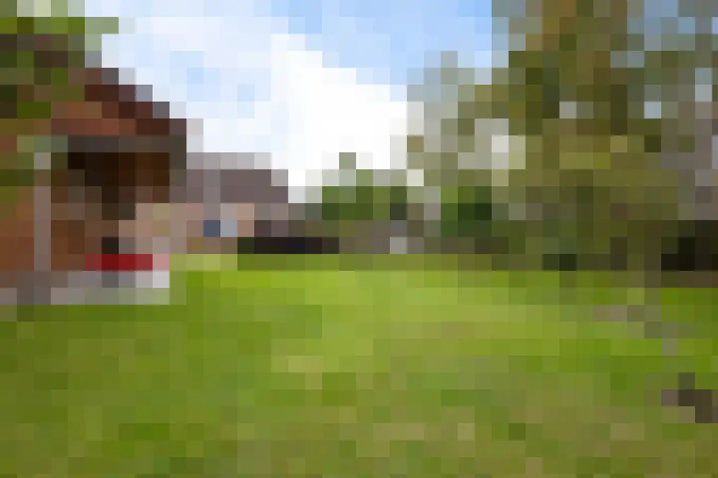 de Linden 6 Wagenborgen thumbnail 15