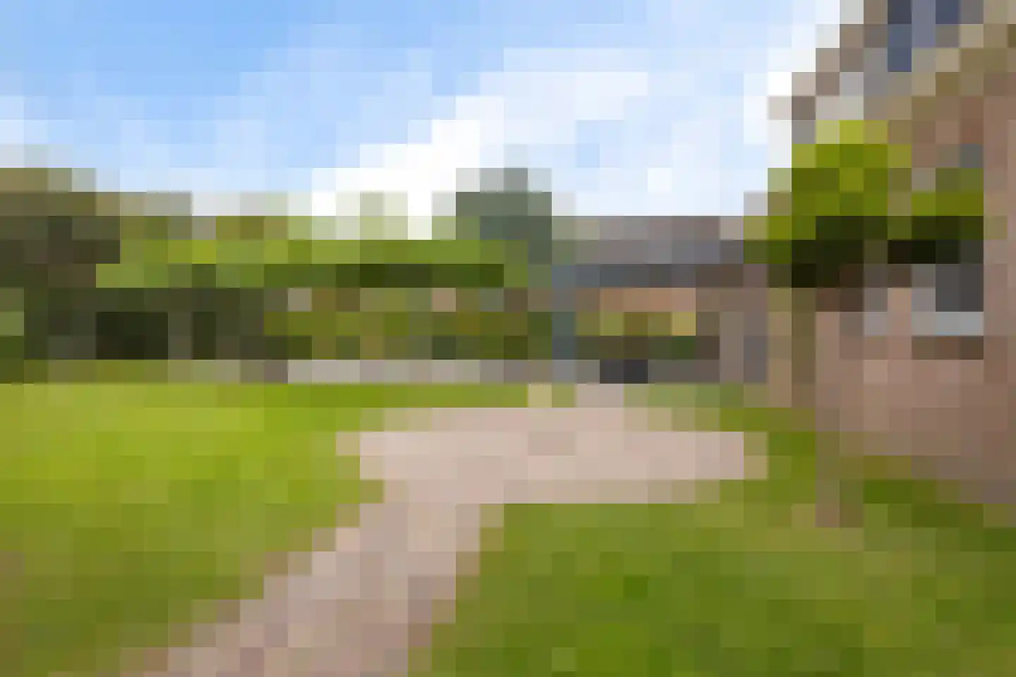 de Linden 6 Wagenborgen thumbnail 23